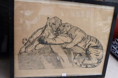 JOUVE Paul (1880 - 1973) «Couple de tigres». Eau forte contre collée sur carton....