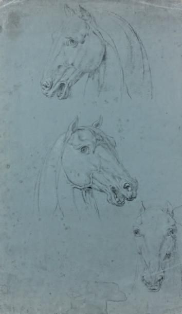 ÉCOLE ITALIENNE DU XVIIIÈME SIÈCLE Etude anatomique de trois chevaux Pierre noire...
