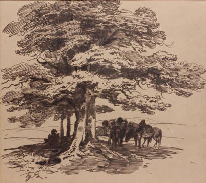 Hyppolite BELANGE (Paris 1800 - 1866) Chevaux sous les arbres Plume et encre brune....