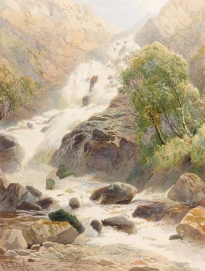 Joseph Charles REED (? 1822 - Londres 1877) Les chutes d'eau de Torc Killarney dans...