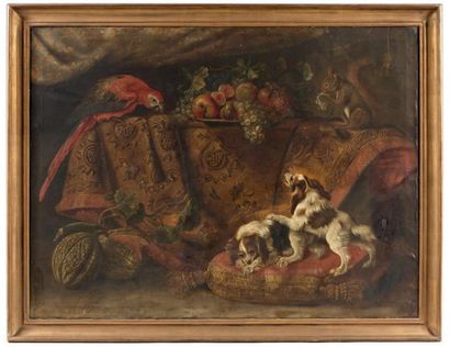 Attribué à Reynaud LEVIEUX (1613 - 1699) Nature morte avec un ara, un écureuil et...