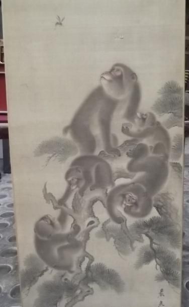 JAPON – XIXème siècle Famille de singes sur des branches de pins. Encre et polychromie...