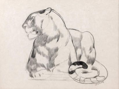 JOUVE Paul (1880 - 1973) «Tigre couché de face». Dessin au crayon Wolf sur papier...