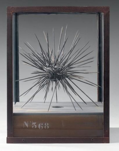 CONAN Christophe «Oursin dans sa boîte» 1966. Sculpture en métal et résine, coffret...