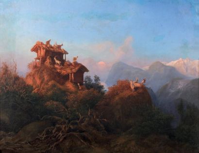 Paul Von FRANKEN (1818 - 1884) Ibex sur les monts du Caucase, 1877 Huile sur toile,...