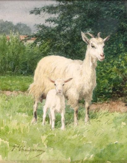 Jean Ferdinand CHAIGNEAU (1830 - 1906) Chèvre et son petit Aquarelle, signée en bas...