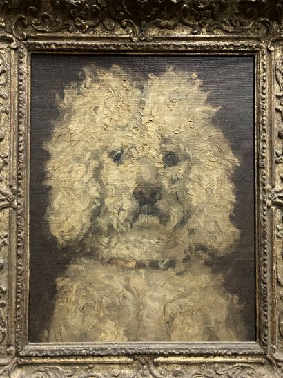 null MODERN SCHOOL
Portrait of a poodle
Oil on isorel
37 x 30 cm