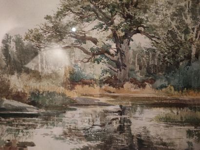 null View of a pond 
Watercolor signed lower left Auguste ALLONGE (1833-1898)
32...