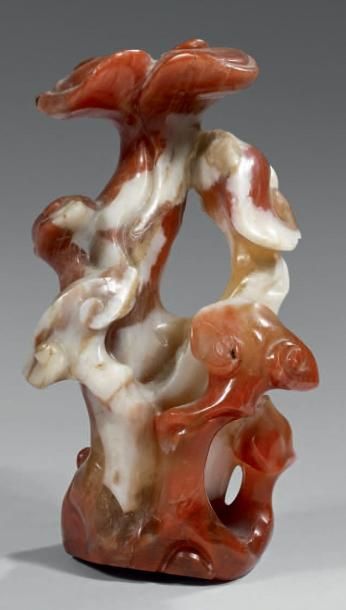 CHINE - XVIIIème siècle Groupe en cornaline rouge et blanche représentant des champignons...