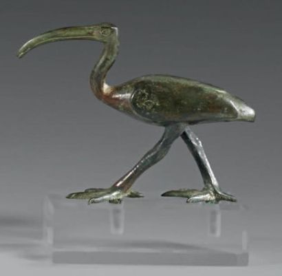 null Statuette d'Ibis marchant. Bronze à patine marron lisse. Égypte, Basse Epoque...