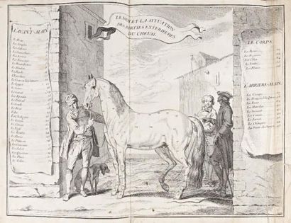 null [ÉQUITATION]. LA GUÉRINIÈRE (François ROBICHON DE). École de cavalerie. Contenant...