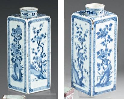 CHINE Paire de bouteilles quadrangulaires, décorées en bleu sous couverte de fleurs...