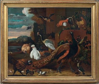 Attribué à Jacob BOGDANY (1660 - 1724) Paon, poules et perroquet dans un paysage...