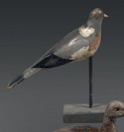 null Pigeon ramier Appelant en bois peint monté sur socle. Origine: Angleterre Vers...