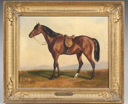 Ecole française vers 1850 Portrait de cheval Sur sa toile d'origine. Porte une signature...