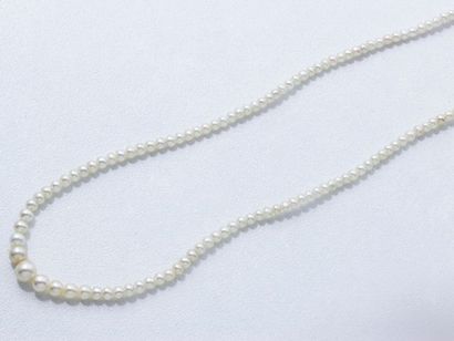  Collier composé d'une chute de perles fines d'environ 4.5 à 1.8 mm, agrémenté d'un...