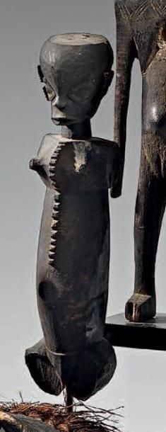 null Ibibio-Eket. (Nigéria) Ancien et beau buste de marion­nette suivant un style...
