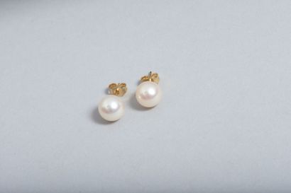  Paire de boucles d’oreilles en or, ornées de perles de culture blanches. 
Diamètre...