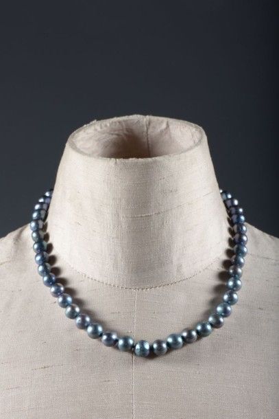 null Collier choker de perles d’eau douce noires. 

Longueur : 43 cm.

