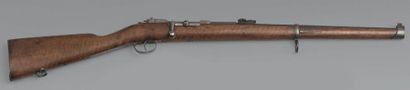 Carabine Mauser de cavalerie modèle 1871,...