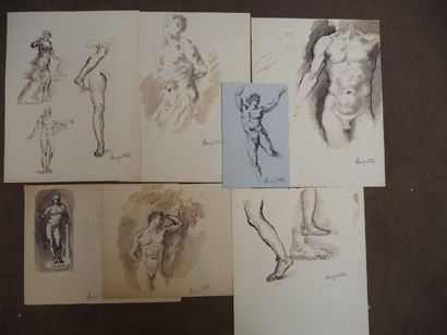  Anatomies masculines Encre de chine et lavis, formats divers Signés en bas à droite...