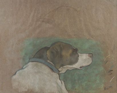 null Tête de chien : « Stop», chien d'Anquetin Fusain, craie et pastel, 36 x 45 cm...