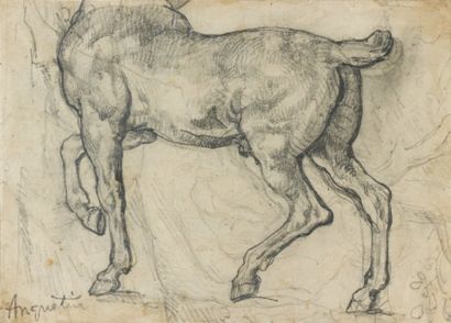 null Etude de cheval Dessin au crayon, 13 x 18,5 cm Signé en bas à droite du cachet...