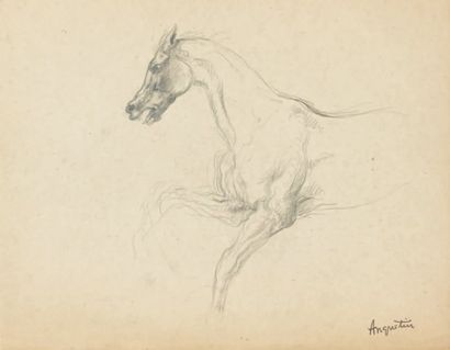 null Tête de cheval, dessin au crayon, 16 x 11 cm Cheval, deux dessins au crayon,...