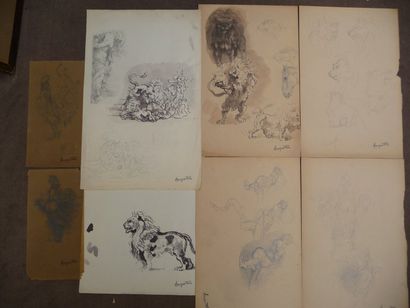 null Le retour - circa 1910 Lion au combat, dessin à l'encre, 35 x 23 cm Lion à l'arrêt,...