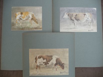 null Vaches - Etrépagny - 1913 Aquarelle, 15 x 23 cm Signées en bas à droite du cachet...