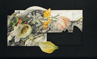 NALL (Né en 1948) La tulipe Encre et aquarelle, signée en haut à droite 45 x 64 ...