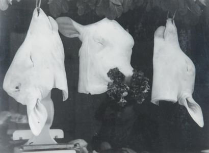 null Trois têtes de veaux, 1947 Tirage gélatino-argentique d'époque par l'auteur,...