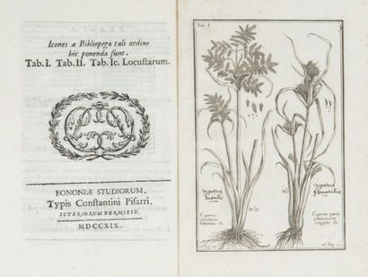null [BOTANIQUE]. MONTI (Giuseppe). Catalogi stirpium agri bononiensis prodromus...