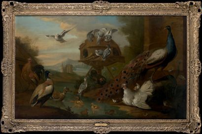 Marmaduke CRADOCK (Somerton 1660 - Londres 1716) 
Canards, poules et pigeons dans...