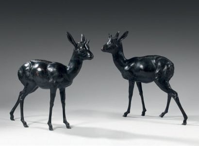 null Paire de chevreaux en bronze ciselé et patiné
H: 64 - L: 57 cm
