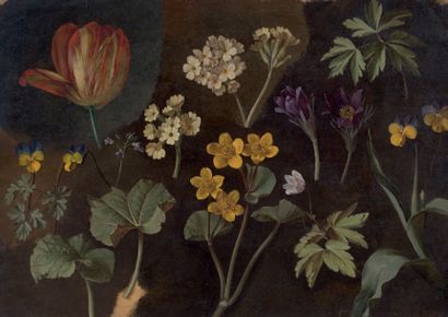 Ecole FRANÇAISE vers 1830 
Etudes de fleurs
PAPIER SUR TOILE. Sans cadre 38,5 x 55...