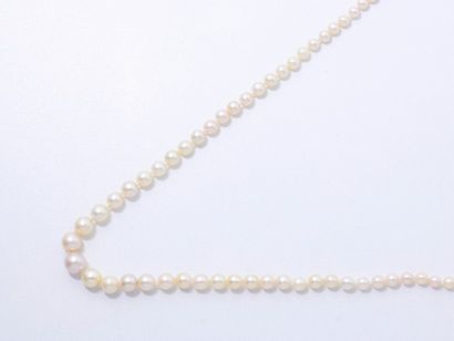 null Collier composé d'une chute de perles de culture d'environ 3.6 à 8.3 mm, agrémenté...