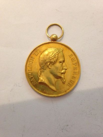 Médaille en or montée du Ministère de la...