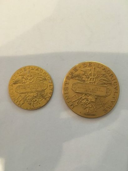 null 2 médailles du Ministère de l’Agriculture datées 1888 et 1895
Poids : 80.45...