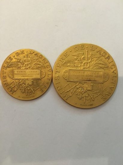 null 2 médailles du Ministère de l’Agriculture datées 1895 et 1888
Poids : 78.10...