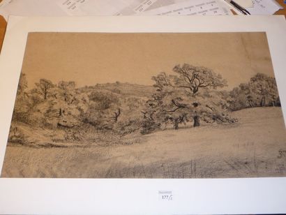 Edme SAINT MARCEL - CABIN (Paris 1819 - Fontainebleau 1890) Paysage aux grands arbres...