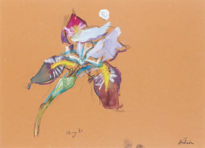 Jean HÉLION (1904-1987) Solo d'iris, 1981 Pastel et gouache sur papier teinté, signée...
