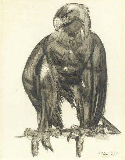 JOUVE Paul (1880-1973) Aigle à l'aile cassé, 1927 Eau-forte originale sur parchemin,...