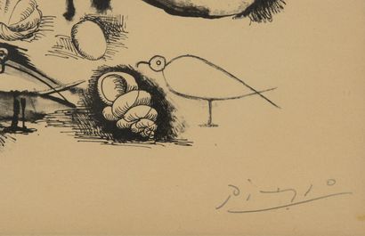 null Pablo PICASSO (1881-1973) Coquillages et oiseaux. 1946. Lithographie en noir...