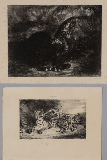 null Eugène DELACROIX (1798- 1863) Cheval sauvage terrassé par un tigre - Jeune tigre...