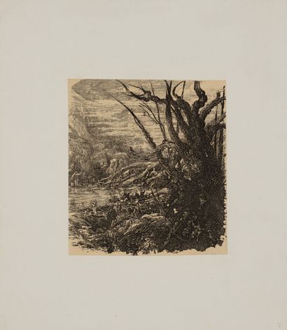 null Rodolphe BRESDIN (1822 1885) Le Lac dans les montagnes. c.1861. Eau-forte sur...