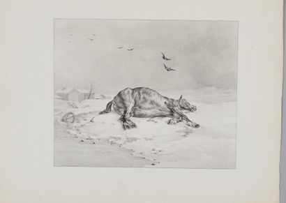 null Théodore GERICAULT (1791-1824) Le Cheval mort. 1823. Lithographie sur vélin,...