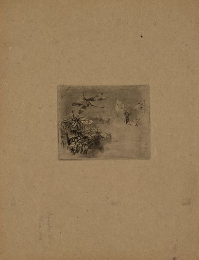 Félix BUHOT(1847-1898)Ex-libris Papillon...