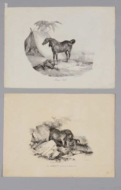 null Théodore GERICAULT (1791-1824) La jument et son poulain (frontispice) Cheval...