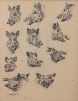 Edouard MERITE (1867-1941) Etude de têtes de sanglier Fusain et aquarelle sur papier...